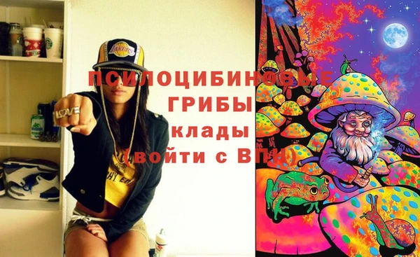первитин Белокуриха