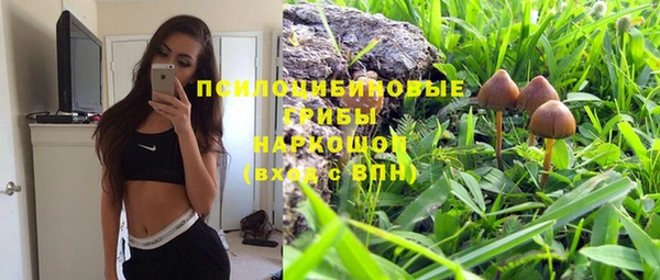 первитин Белокуриха