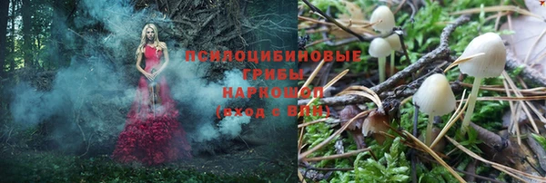 первитин Белокуриха